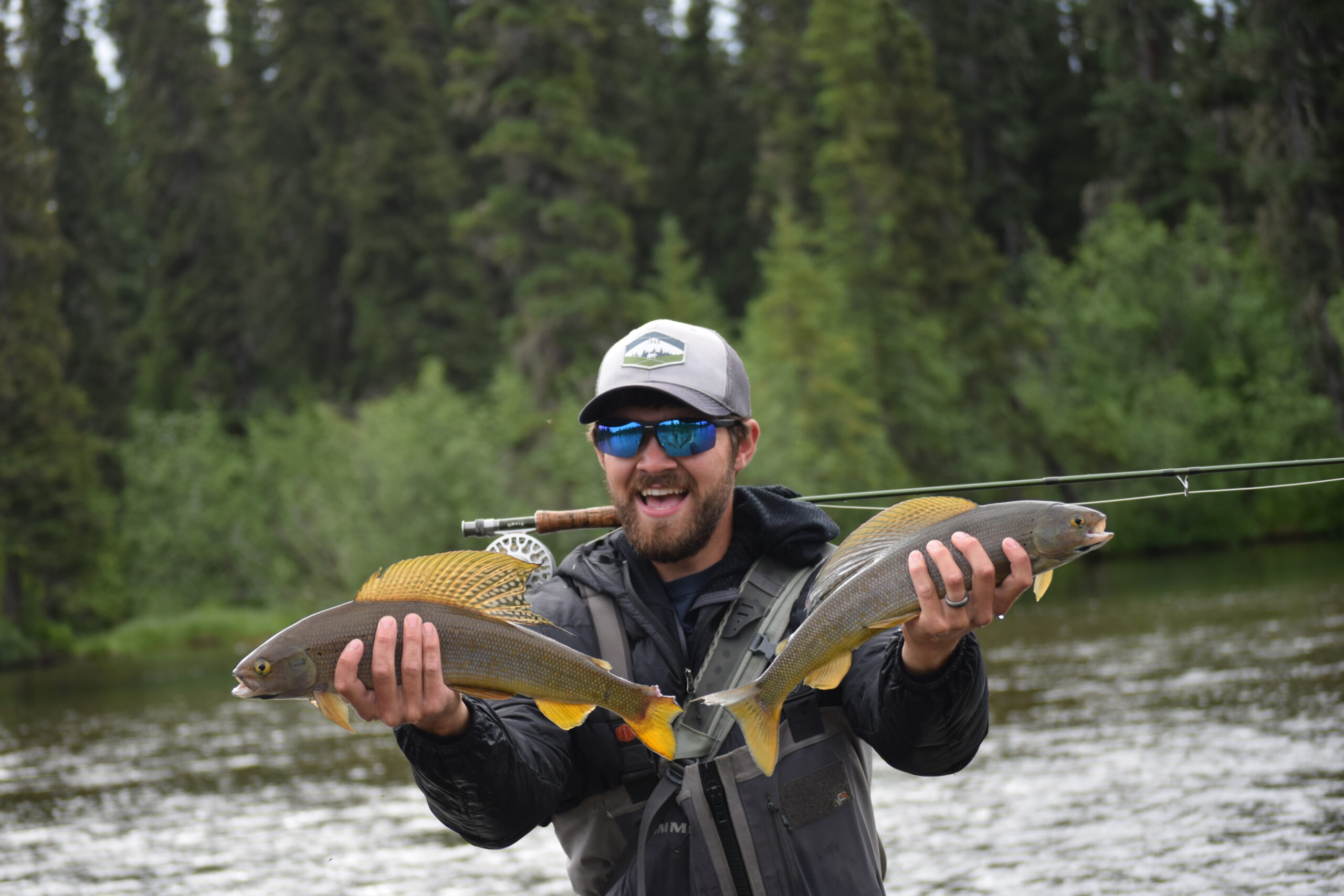 Arctic Grayling “The Fly Fisherman’s Fish”